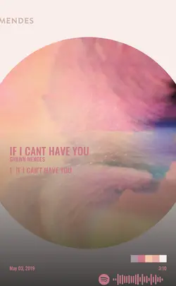 Shawn Mendes - If I Cant Have You.jpg